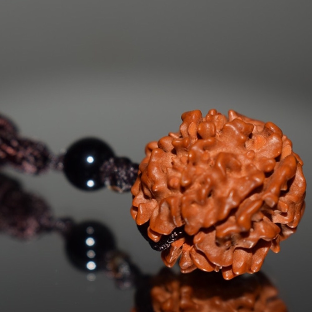 Sacred Rudraksha seed Necklace - Picture 3 of 8